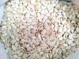 High Quality Snow White Pumpkin Seeds Large Supplier