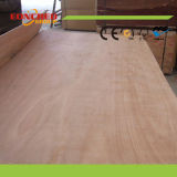 All Types Face/Back Plywood Prices