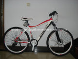 White Good Quality Alloy Bicycle for Sale (SH-AMTB012)
