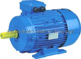 Y2 Sereis Three Phase Electric Motor (6poles)