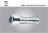 China High Quality Hexagonal Socket Head Bolt