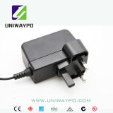 3W Switching Power Supply (BS plug)