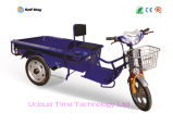 Electric Tricycle for Cargo Safe