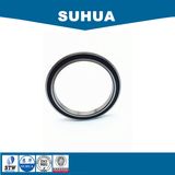 Single Row Thin Section Deep Groove Ball Bearing (6816-2RS)