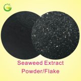 Seaweed Extract Flake/Powder Fertilizer