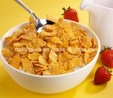 Corn Flakes Double Screw Extruded Snacks Machine