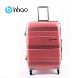 Aluminum Fame Leisure Travel Luggage (994545KA)