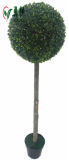 Yy 0702 Hot Sale 2.62 Ft Artificial Melon Grass Topiary Ball for Wholesale
