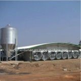 Top Quality Chicken Shed Construction with Steel Structure