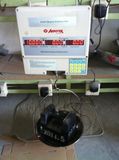 Hanging Price Computing Scale