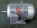 IEC Three Phase Electric Motor