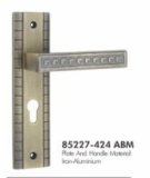Zinc/Iron Plate Zinc/Alu Handle Mortise Plate Door Lock 85227-424 Abm