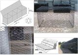 Hexagonal Wire Gabion Netting (ZL-GB)