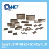 Various Size Sintered Strong NdFeB Motor Magnets