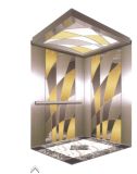 Passenger Elevator with Stainless Steel, Painted Steel, Mirror Steel, Etching Steel