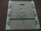 LDPE Transparent Printed Plastic Punch out Handle Promotion Bag