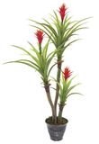 0025 Three Stems Tree Natural and True Plant----SGS High Standard