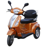 Handicapped Electric Tricycle (TC-018)