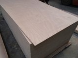 Okoumel/Bingtangor Plywood