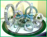 China Good Supplier Spiral Wound Gasket