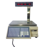 Internet Electronic Scale