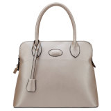 2015 Trend Silver Elegant Lady Fashion Handbag (AL005)