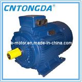 56-400, Y2 Series Three Phase Electric Motor