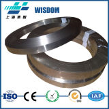 Nickel Alloy Incoloy 901 Strip for Sale