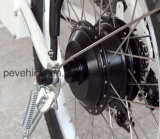 Electric Bicycle Motor (SWX01)