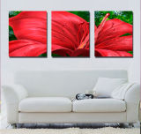 Red Flowers 3 Pieces Canvas Prints Home Decoration