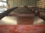 Red Film, Combi Core Faced Plywood for Construction Formwork