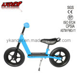 Skyblue Kid's Bike Learning Balance Toy /Baby Walk Bike (AKB-1258)