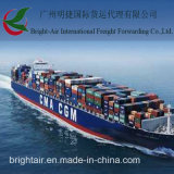 Professional Logistics Transportation From China to Seattle (USA)
