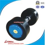 Color Round Head Dumbbell Gym Equipment (LJ-9807A)
