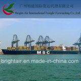 Cheap Price Shipping From China to Puerto Montt, Chile