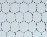 (Manufacturer) Galvanized/PVC Coated Hexagonal Wire Mesh/Livestock Wire Netting