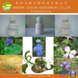 Price Preferential Herbicid Terbuthylazine (97%TC, 80%WP, 50%SC, 90%WDG)