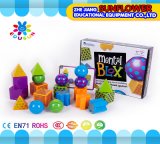 Geometrical Model (Educational equipment) , Children Educational Toys