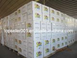 Sunny White Box Washing Powder