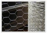 Electro Galvanized Heavy Hexagonal Twisting Wire Mesh