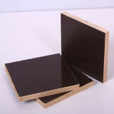 6mm High Quality Film Faced Plywood with Competitive Price