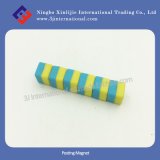 Rubber Coated Magnet/Office Magnet/Posting Magnet (XLJ-2201)