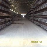 Carbon Steel Seamless Pipe (X52/X42/ASTM A106/A53 GrB)