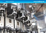 Carbonated Beverage Filling Machine (DCGF)