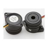 Hot Sell 29mm Through Hole Piezo Buzzer Fbpb2925 Series Fbpb2925