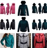 Brand Lady's Outdoor Jacket