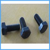 Full Thread Hexagonal Head Bolt with Internal Thread