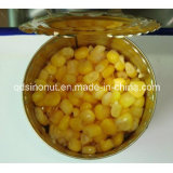 Good Quality Canned Sweet Corn for Different Market (HACCP ISO Brc Halal Kosher FDA)