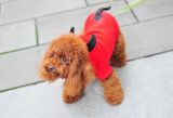 Fashion Devil Pet Coat of Dog Clothes Pet Product