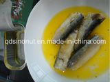 Canned Sardine in 100% Oil